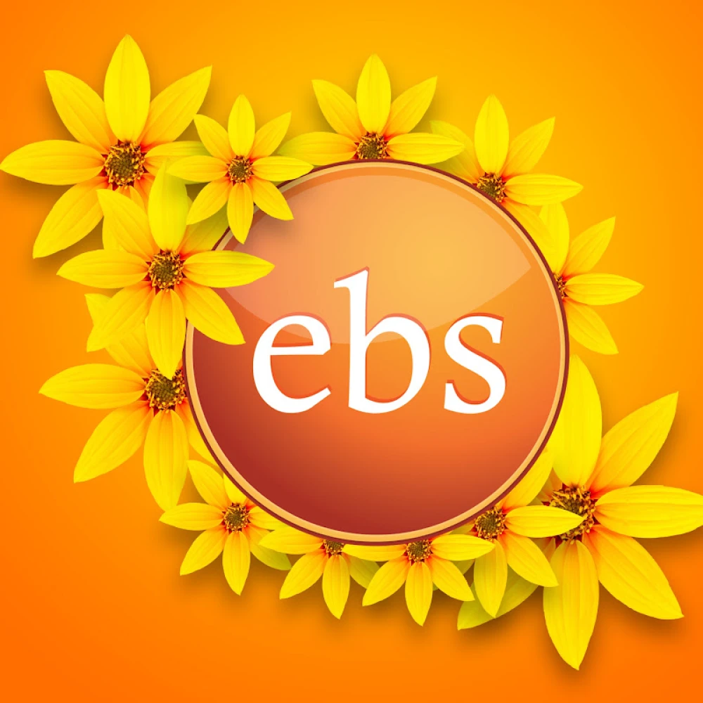EBS TV