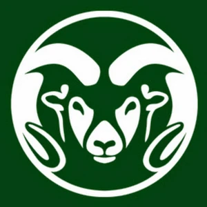 CSU TV