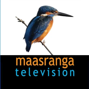 Maasranga TV