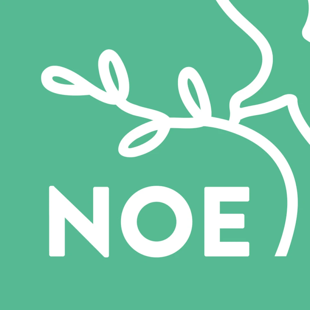 Tv Noe